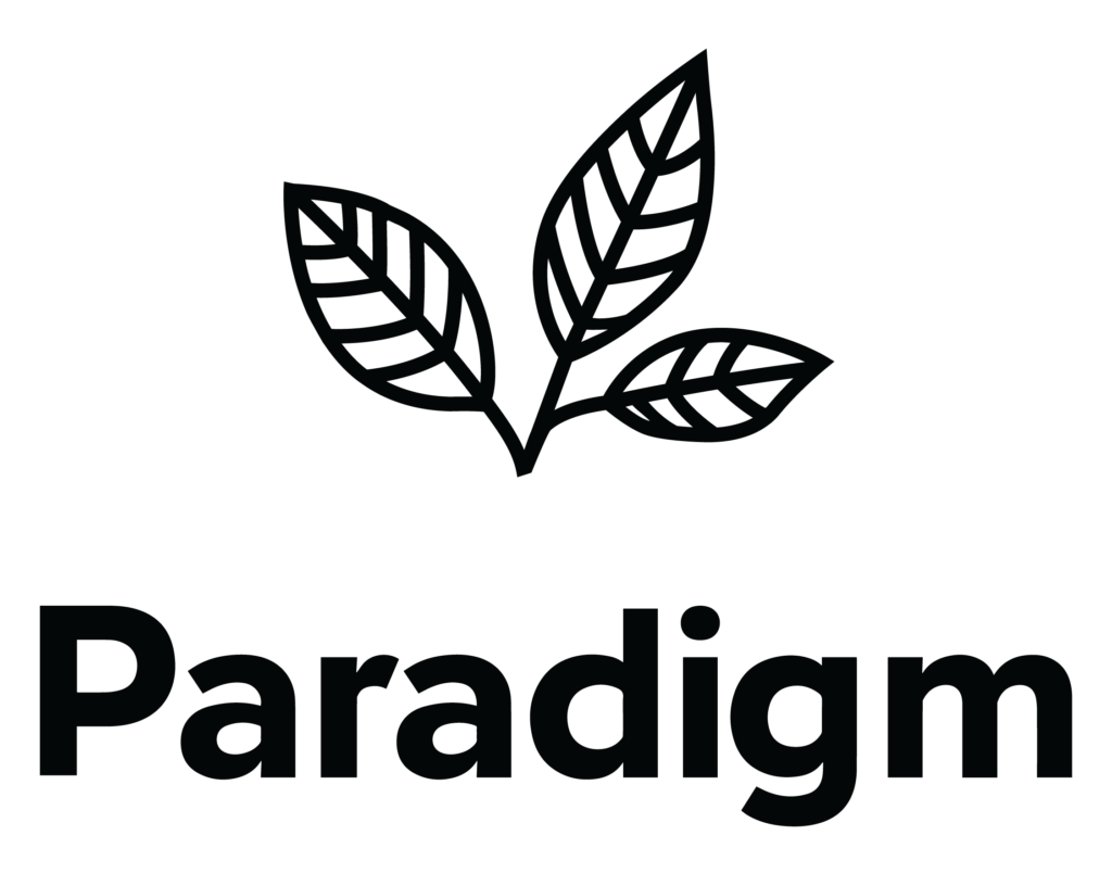 Paradigm 3d okanagan